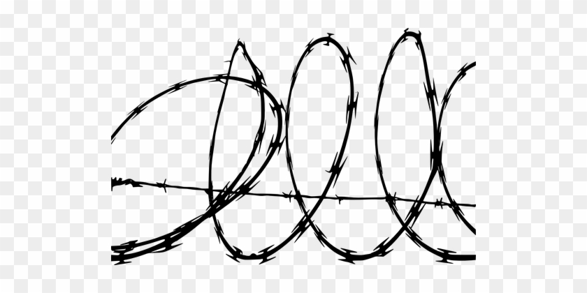 Barbed Wire Barbwire Freedom Prison Wire B - Barbed Wire Clipart #54094