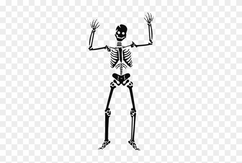 1505 Human Anatomy Clip Art Free Public Domain Vectors - Skeleton Clipart #54555