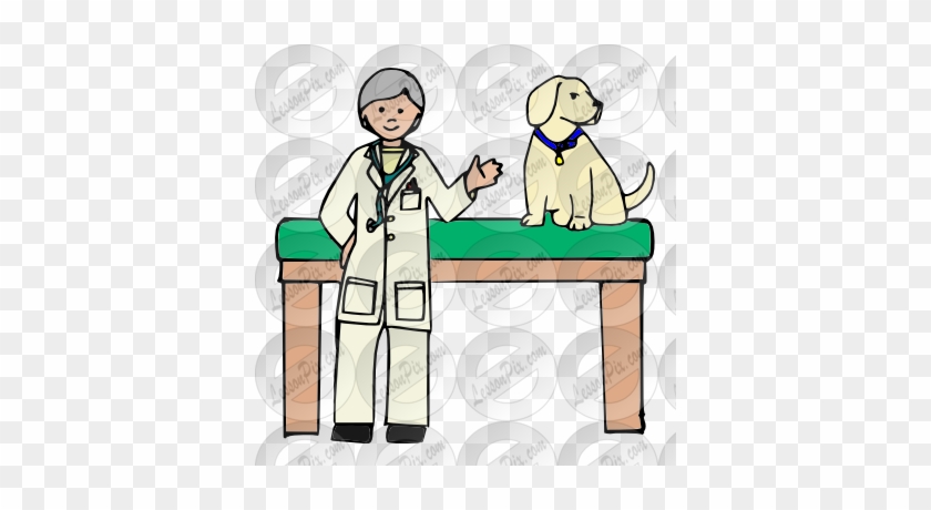 Veterinarian Picture - Clip Art #54858