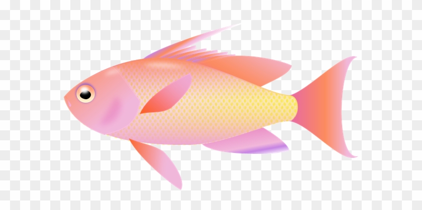 Graphics For Fishing Clip Art Transparent Background - Fish Clipart Transparent Background #55927