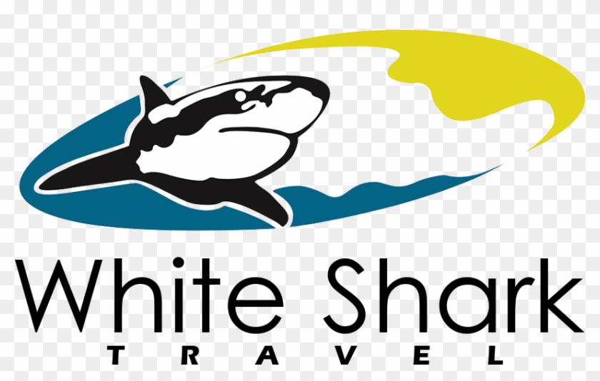 White Shark Travel - Jimbaran #56395
