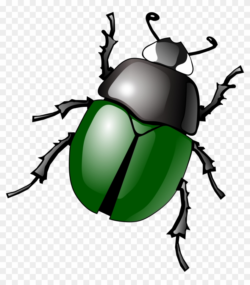 Bug - Clipart - Beetle Clipart #57584