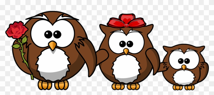 Owl Animal Bird Funny Family Father Mother - Funny Birthday Wishes For A Son #58641