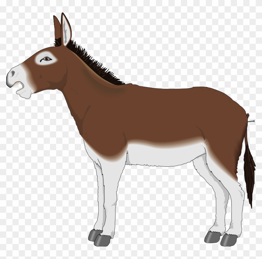 Donkey Clipart #59342