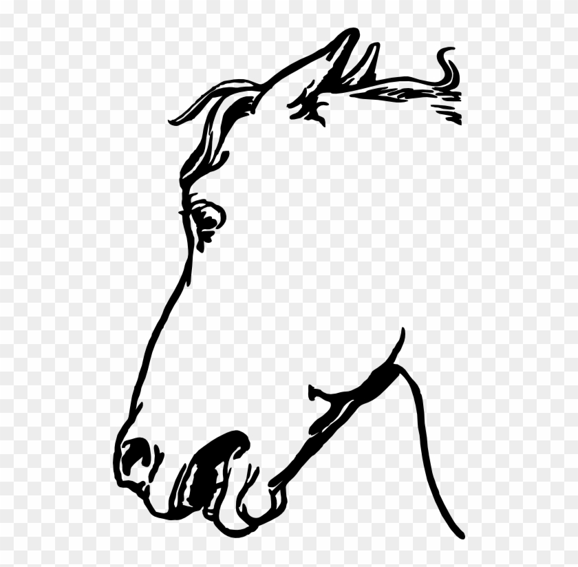 Gambar Sketsa Kepala Kuda #59630