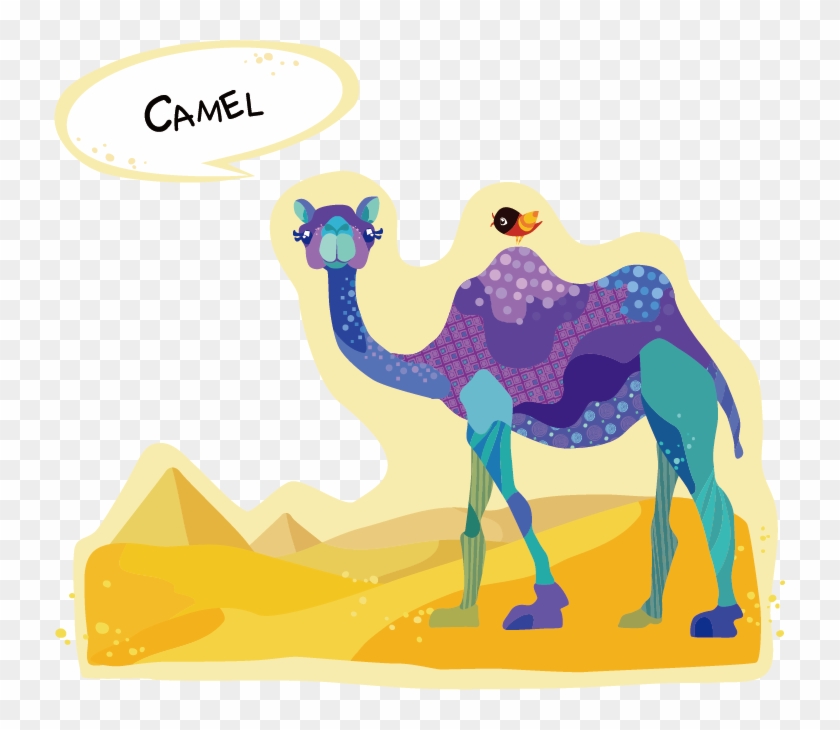Dromedary Bactrian Camel Drawing Cartoon - Dromedary Bactrian Camel Drawing Cartoon #308127