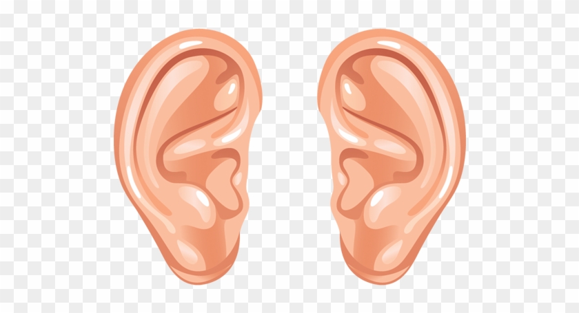 Ear Png Transparent Images - Ears Clipart #308211