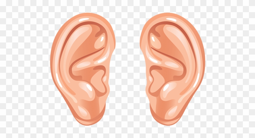 Ear Png Transparent Images - Ears Clipart #308211