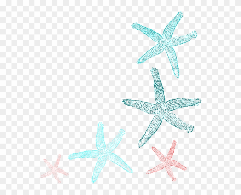 Coral And Teal Starfish Clip Art At Clker - Coral Starfish Clipart #308328