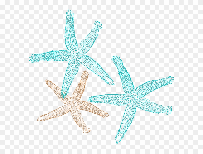 Starfish Clip Art Coral Color - Free Clip Art Starfish #308343