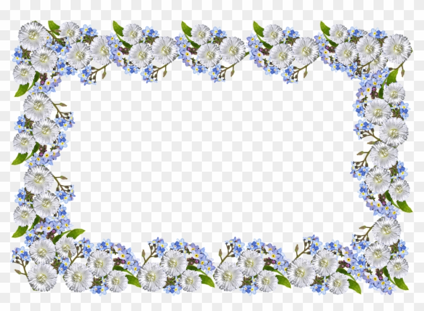 Frame, Daisies, Forget Me Not - Transparent Forget Me Not Flower Border #308405