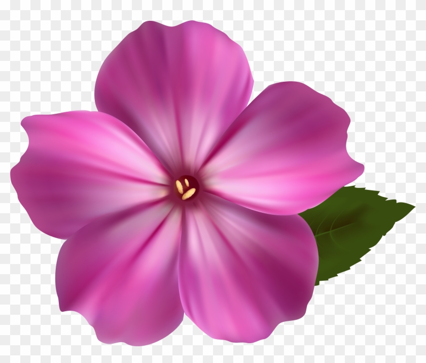 Flower Png Image Pink Clipart Png Images - Pink Flower Png Clipart #308730