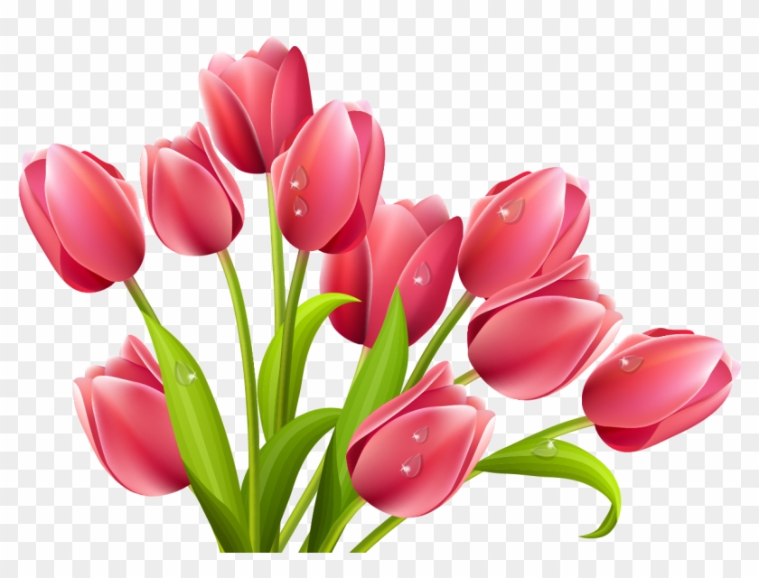 3 - Tulips Clipart Png #308829