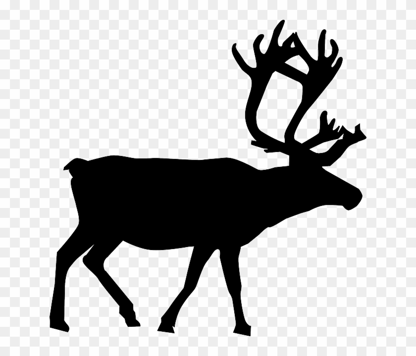 North, Silhouette, Christmas, Reindeer, Santa, Animal - Reindeer Clipart Black #308871