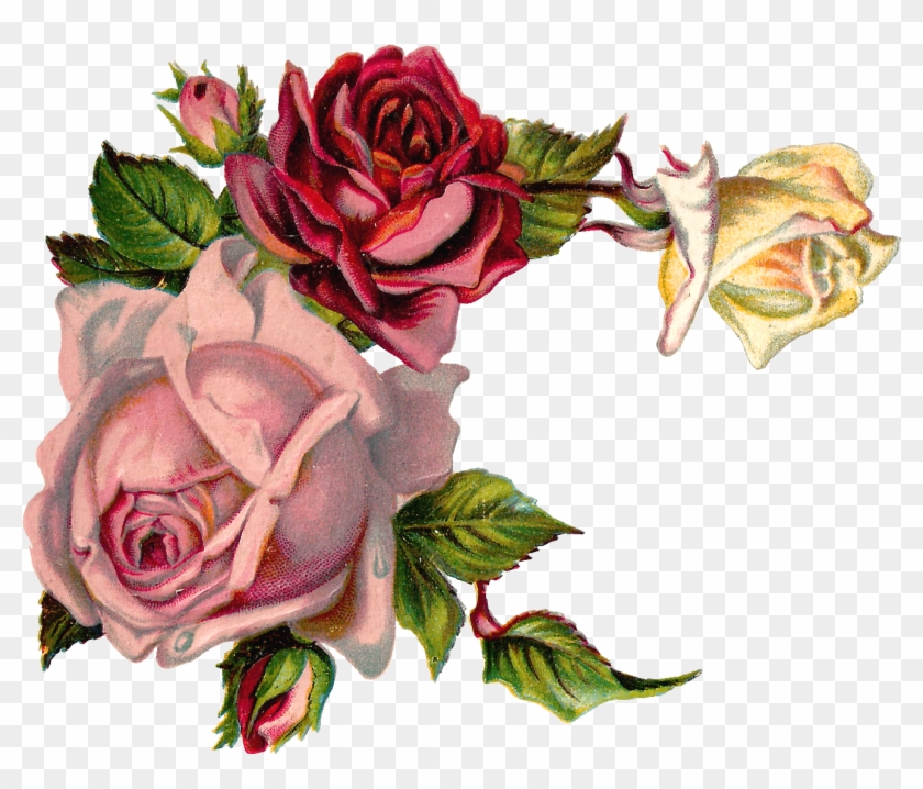 Free Digital Flower Pink Rose Corner Design - Vintage Flower Corner Png #309021