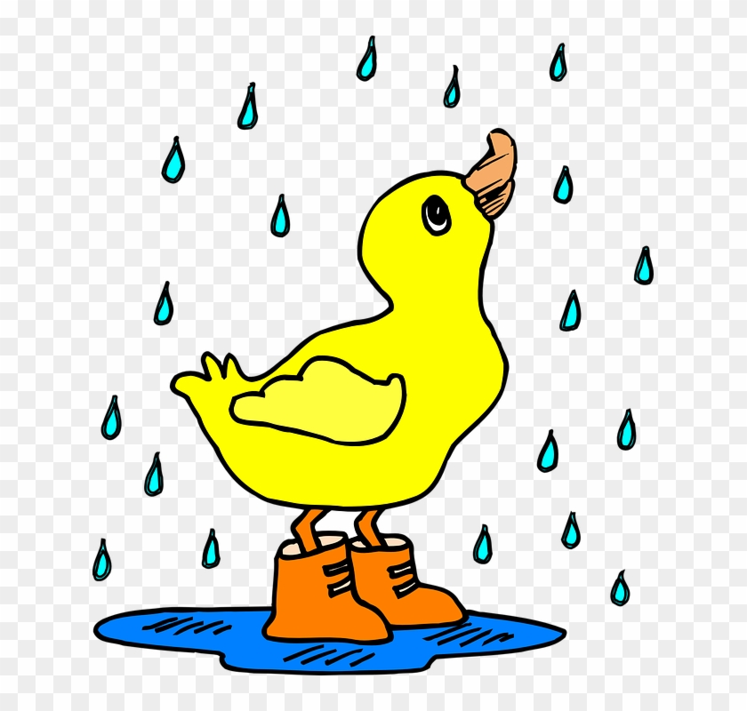 duck with rain boots