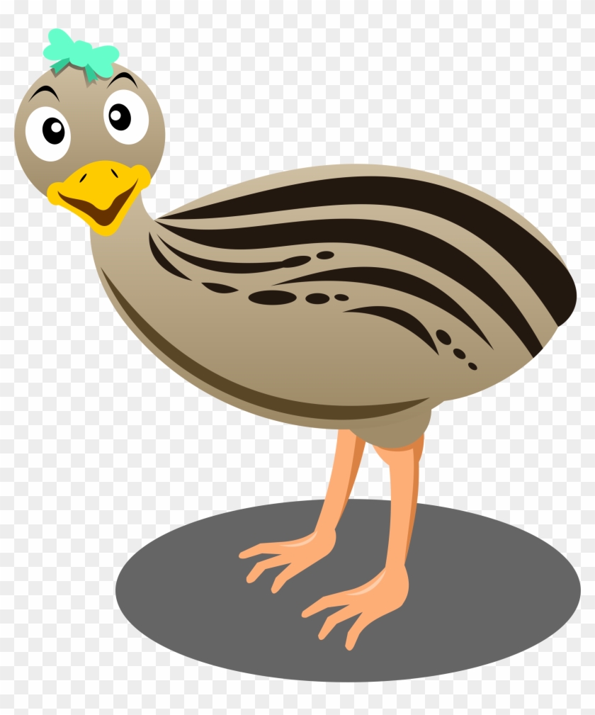 Cartoon Bird Emu Common Ostrich Clip Art - Cartoon Bird Emu Common Ostrich Clip Art - Free Transparent PNG Clipart Images Download Cartoon Bird Emu Common Ostrich Clip Art - Cartoon Bird Emu Common Ostrich Clip Art - Free Transparent PNG Clipart Images Download