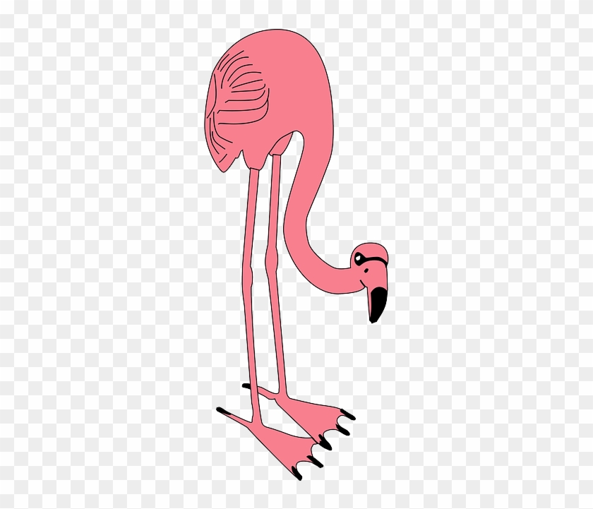 Animal Bird, Flamingo, Long, Standing, Eating, Neck, - Custom Pink Flamingo Pillow Case #309465