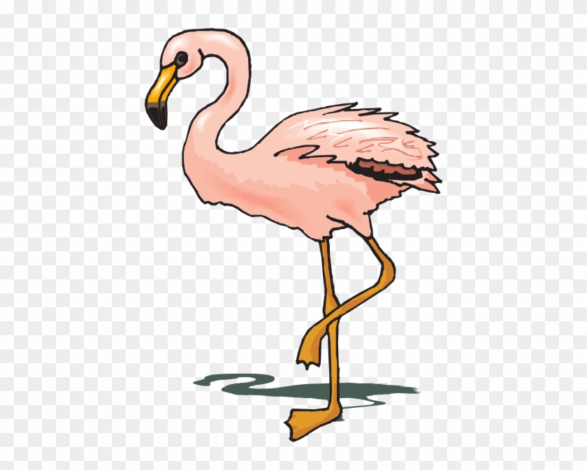 Standing Flamingo Clip Art - Flamingo Cliparts #309466