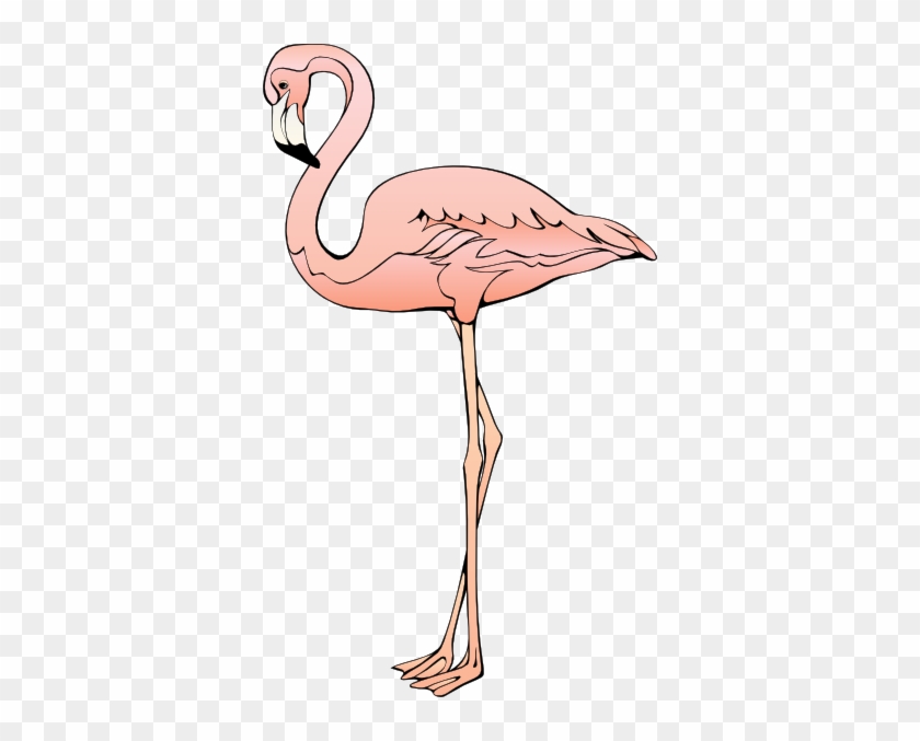 Free To Use &, Public Domain Flamingo Clip Art - Clipart Flamingo #309469