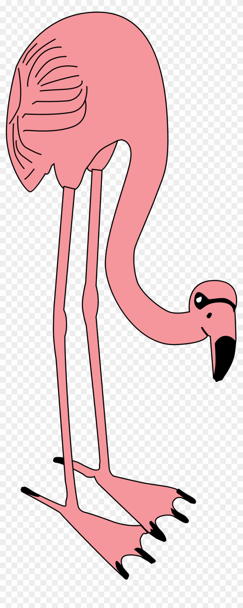 Hysteria - Clipart - Custom Pink Flamingo Shower Curtain #309470