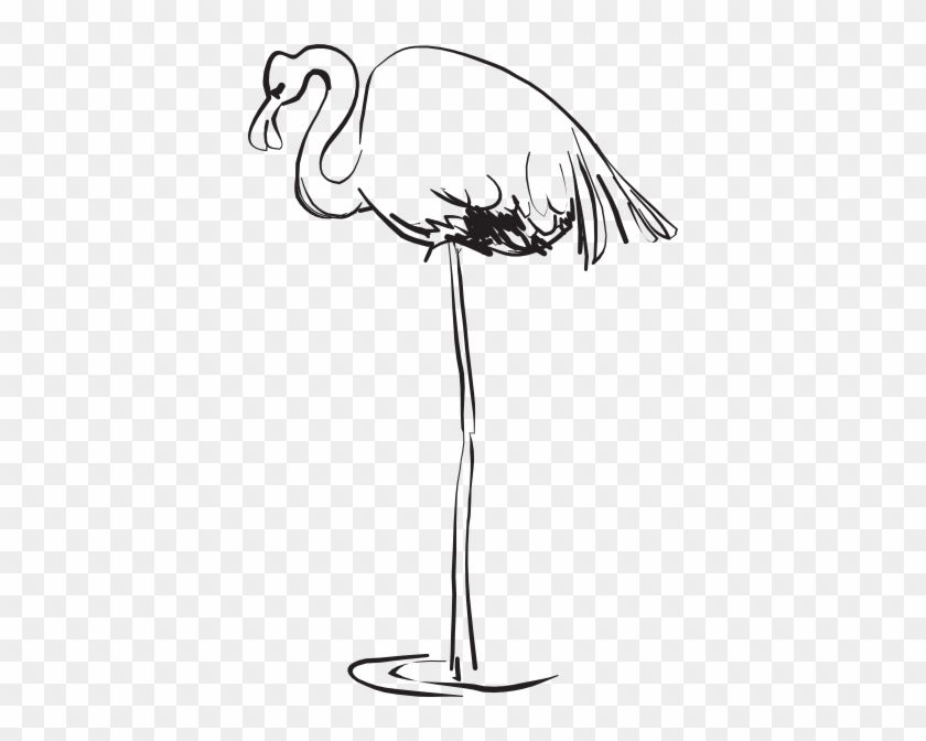 Flamingo Outline Art Clip Art - Flamingos #309474