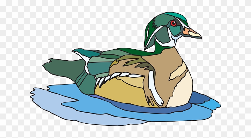 Swimming Brown And Green Duck Clip Art At Clker - Duck In Water Clipart #309475