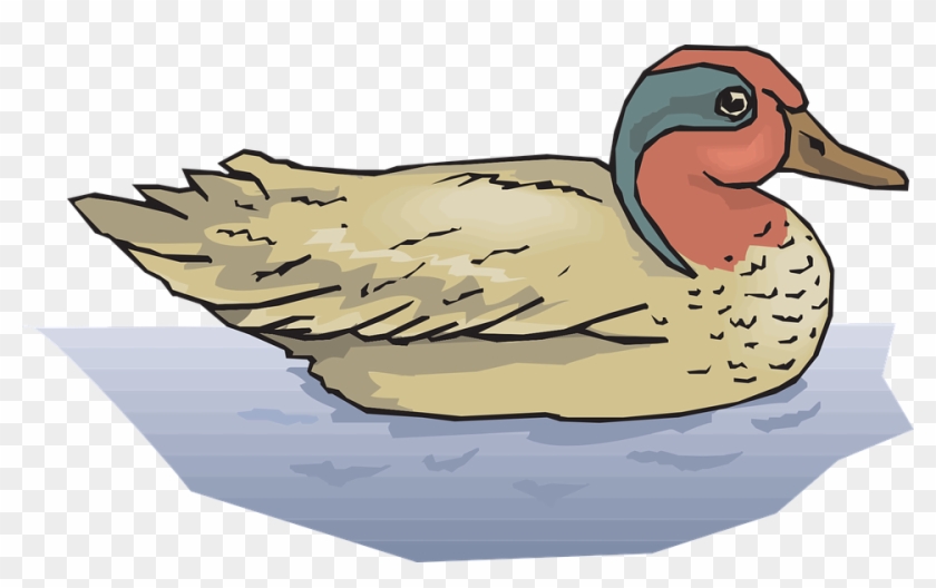Free Vector Graphic - Mallard Ducks In Water Clipart #309479