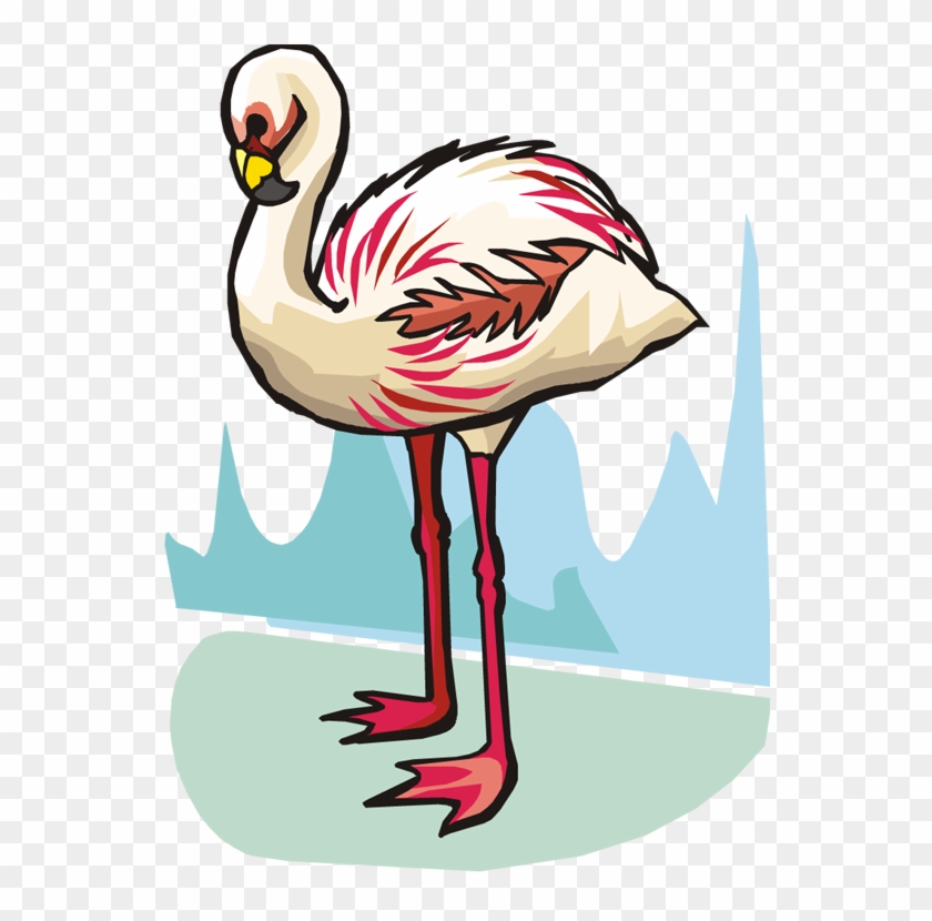 Related Pictures Funny Flamingo Bird Clipart Graphic - Flamingo #309485