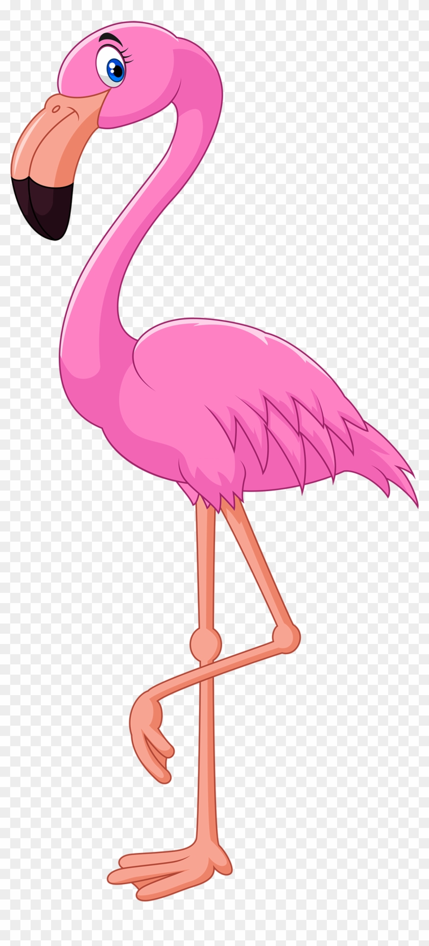 Pink Flamingo Clipart Web Clipart - Cartoon Flamingo #309587