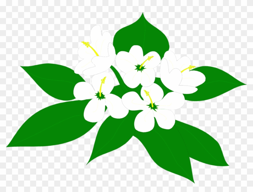 Flower Illustration Png - Sampaguita Clipart #309598