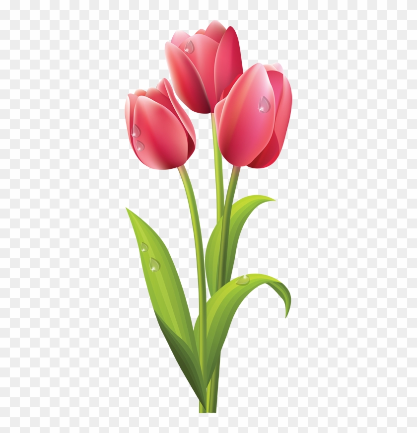 Web Design Clip Art Spring And Pink Tulips - Tulips Flower Png #309804