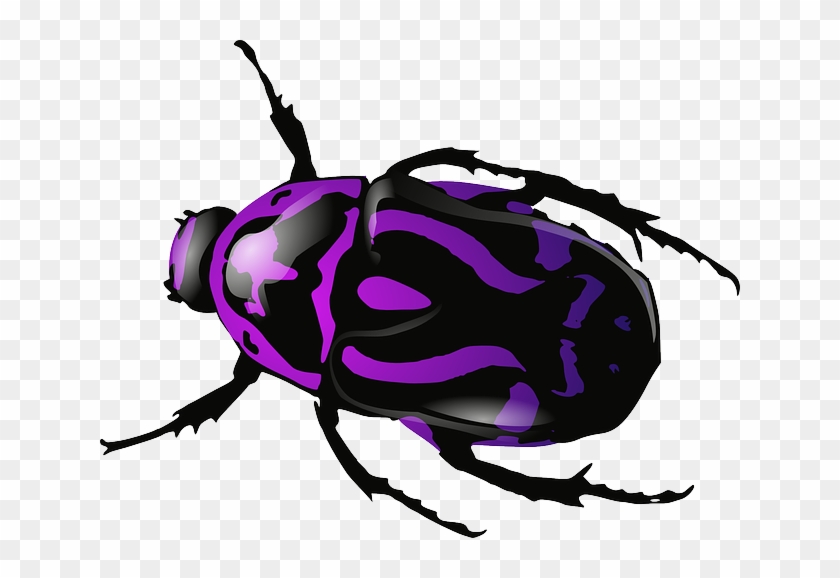 Cartoon, Purple, Bugs, Bug, Insect, Beetle, Insects - Purple Bug #309815