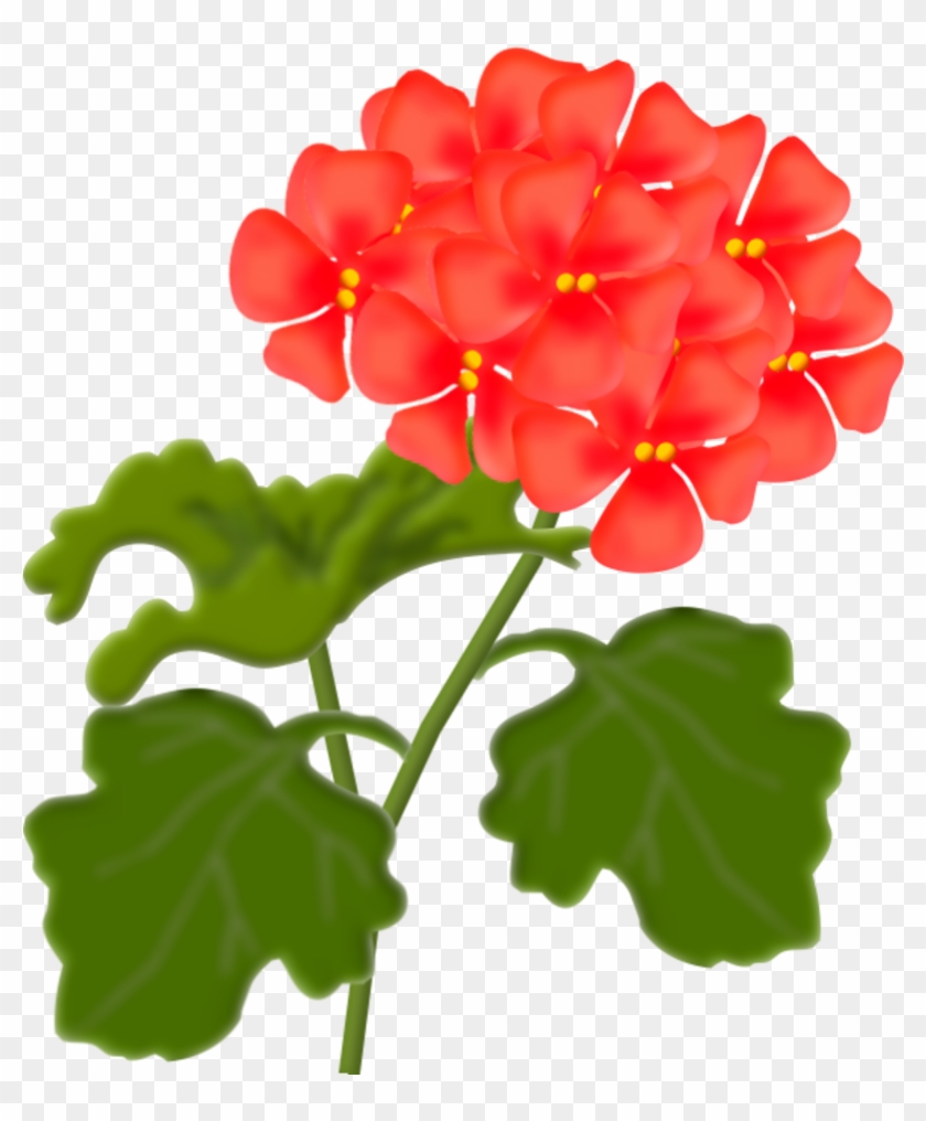 Scrap - Clip Art #309822