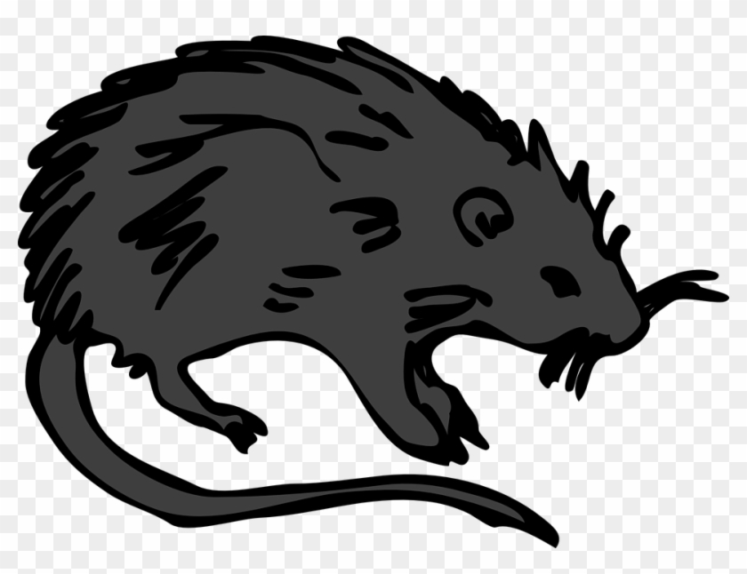 Black Rat Clip Art At Vector Clip Art - Burial Of The Rats [book] #310048
