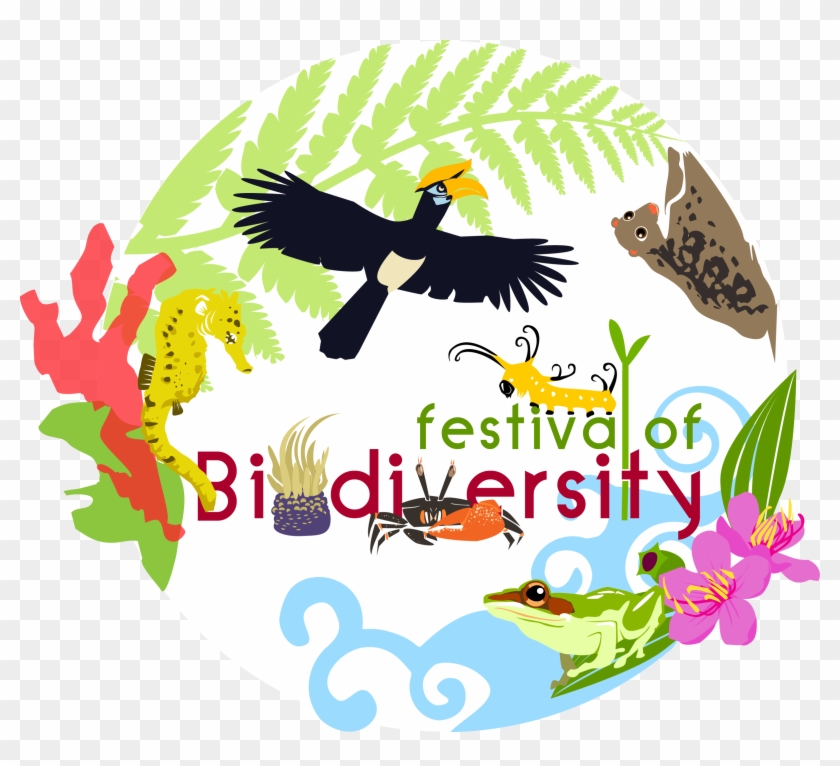 Festival Of Biodiversity - Biodiversity Posters #310225