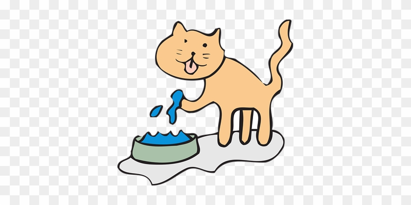 Cat, Water, Bowl, Drinking, Paw, Pet - Pet Water Clip Art #310277
