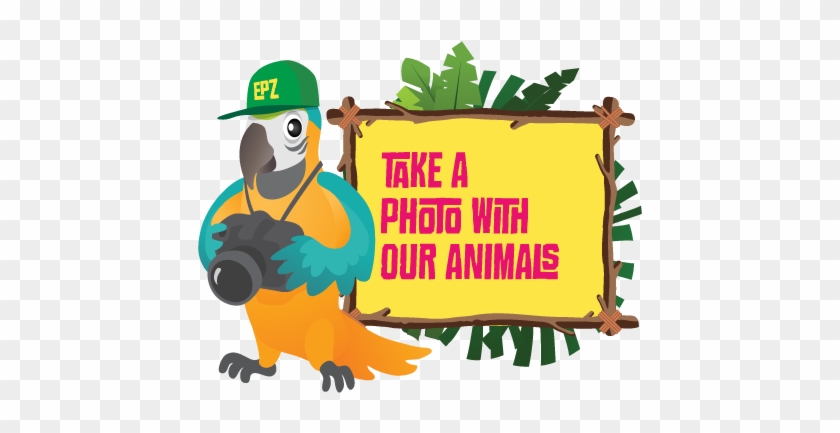 Photo-session At Emirates Park Zoo - Park #310332