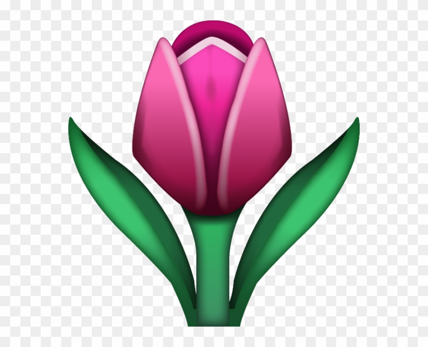 Tulip Emoji #310391