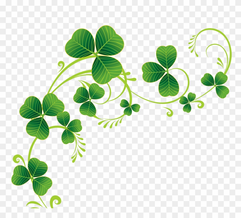 Transparent Shamrocks Decor Png Clipart - St Patrick's Day 2016 #310767