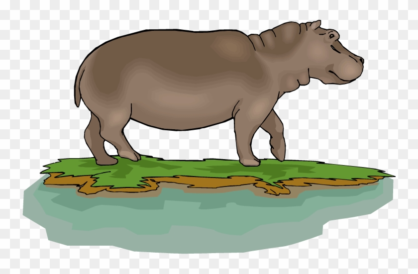 Water Clipart Hippo - Pygmy Hippo Clipart #310807