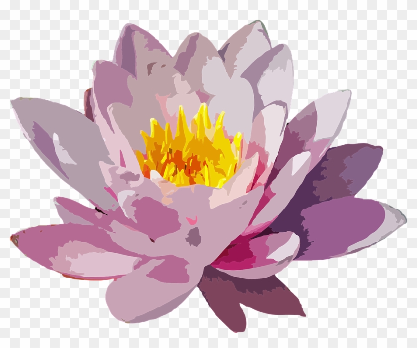 Cartoon Lotus Flower 20, - Water Lily Flower Png #310826