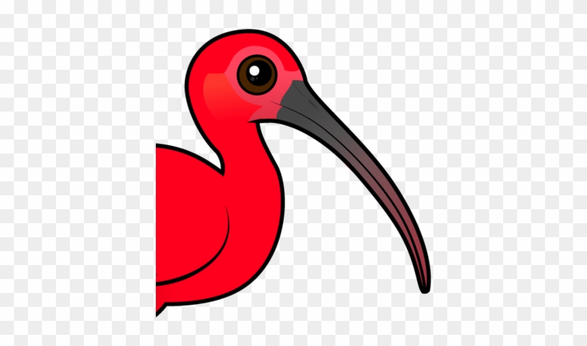 Scarlet Ibis Clipart - Scarlet Ibis Bird Cartoon #310843