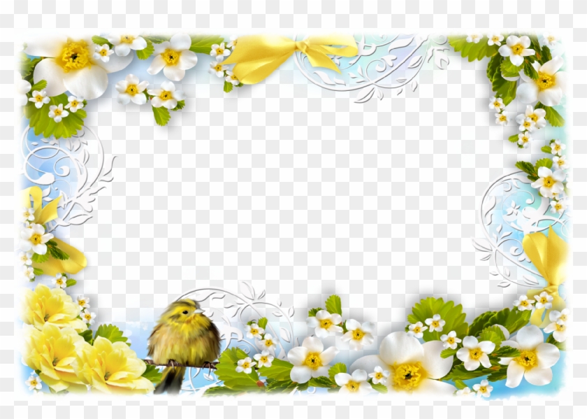 Flowers And Birds - Birds And Flowers Borders #310964