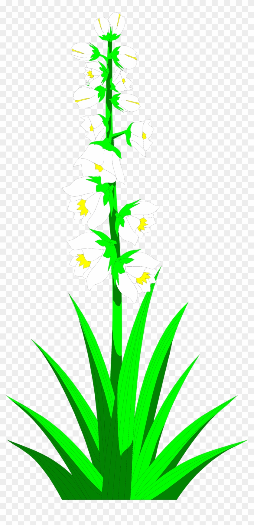 Yucca Plant Clipart Clipground - Yucca Plant Clip Art #311040