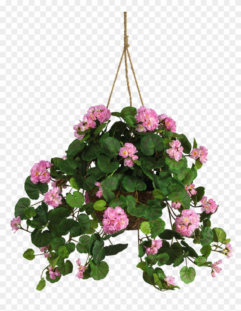 Money Plant Clipart - Hanging Pot With Flower #311135