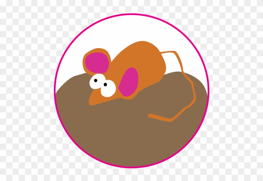 Howto4 Favoritetoy - Refractometer #311178