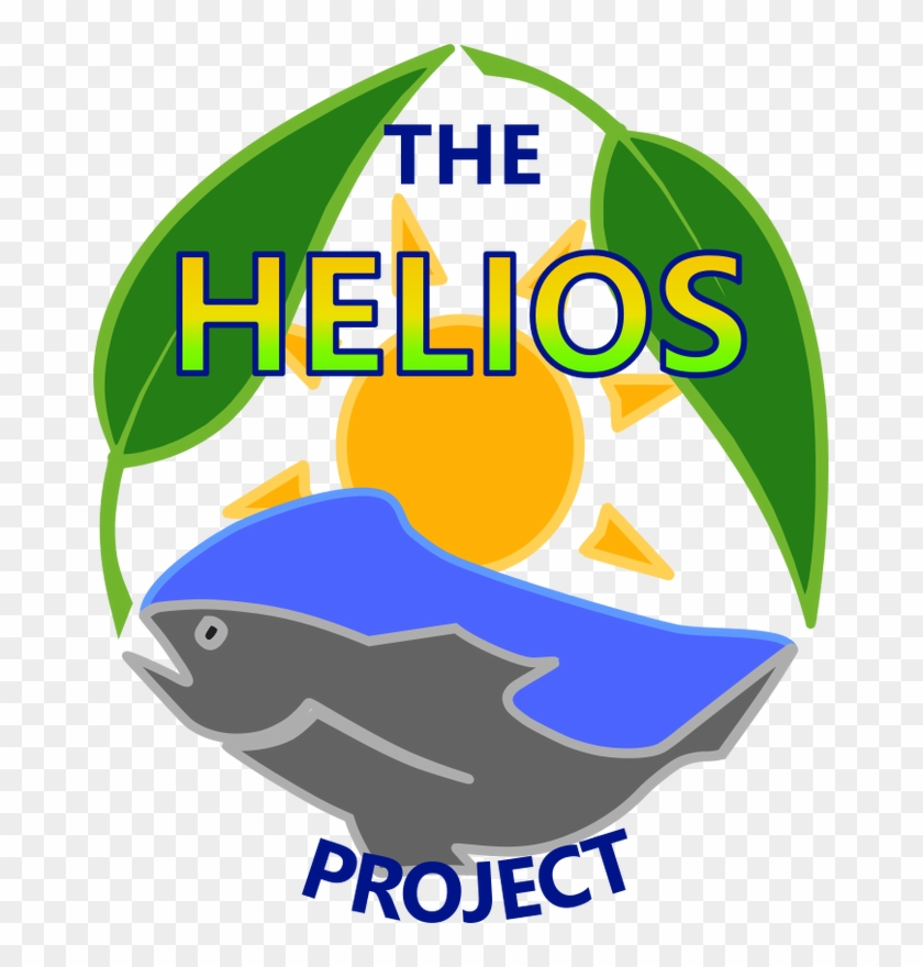 School Profiles - Helios Project #311299