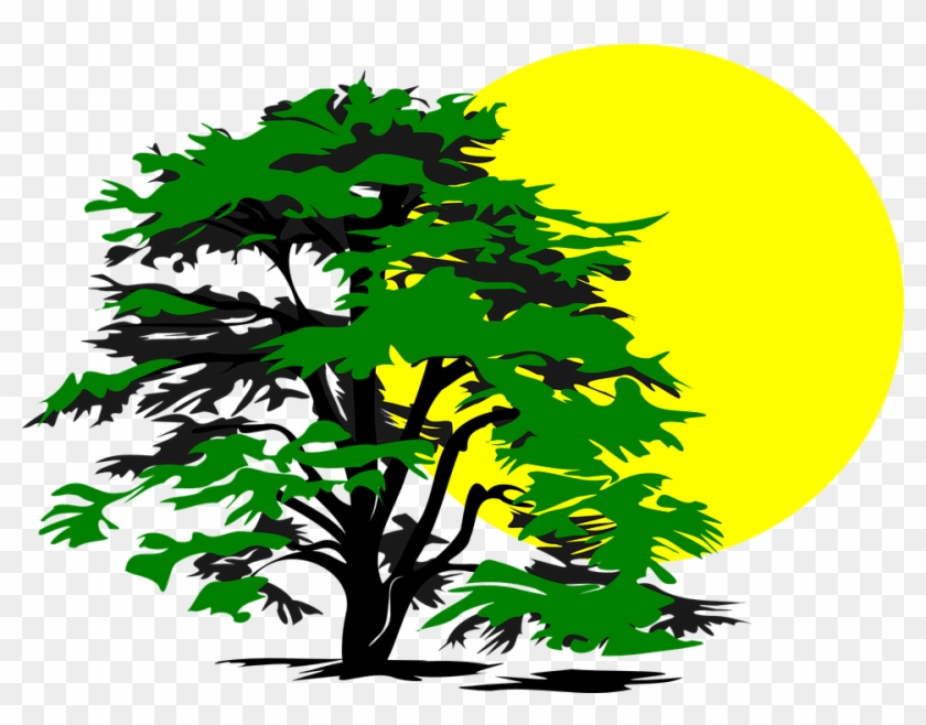 Tree House Clipart 26, - Tree And Sun Clip Art #311353