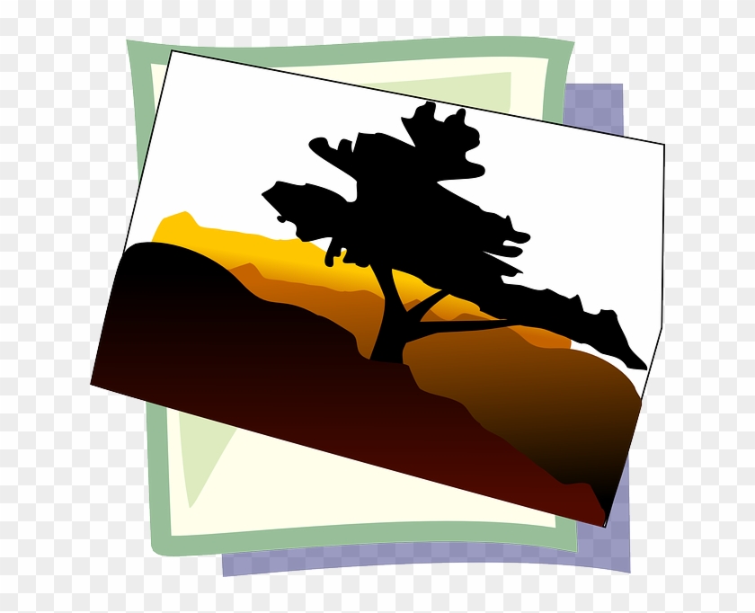 Symbol, Image, Photo, Icon - Bonsai Tree Clip Art #311484